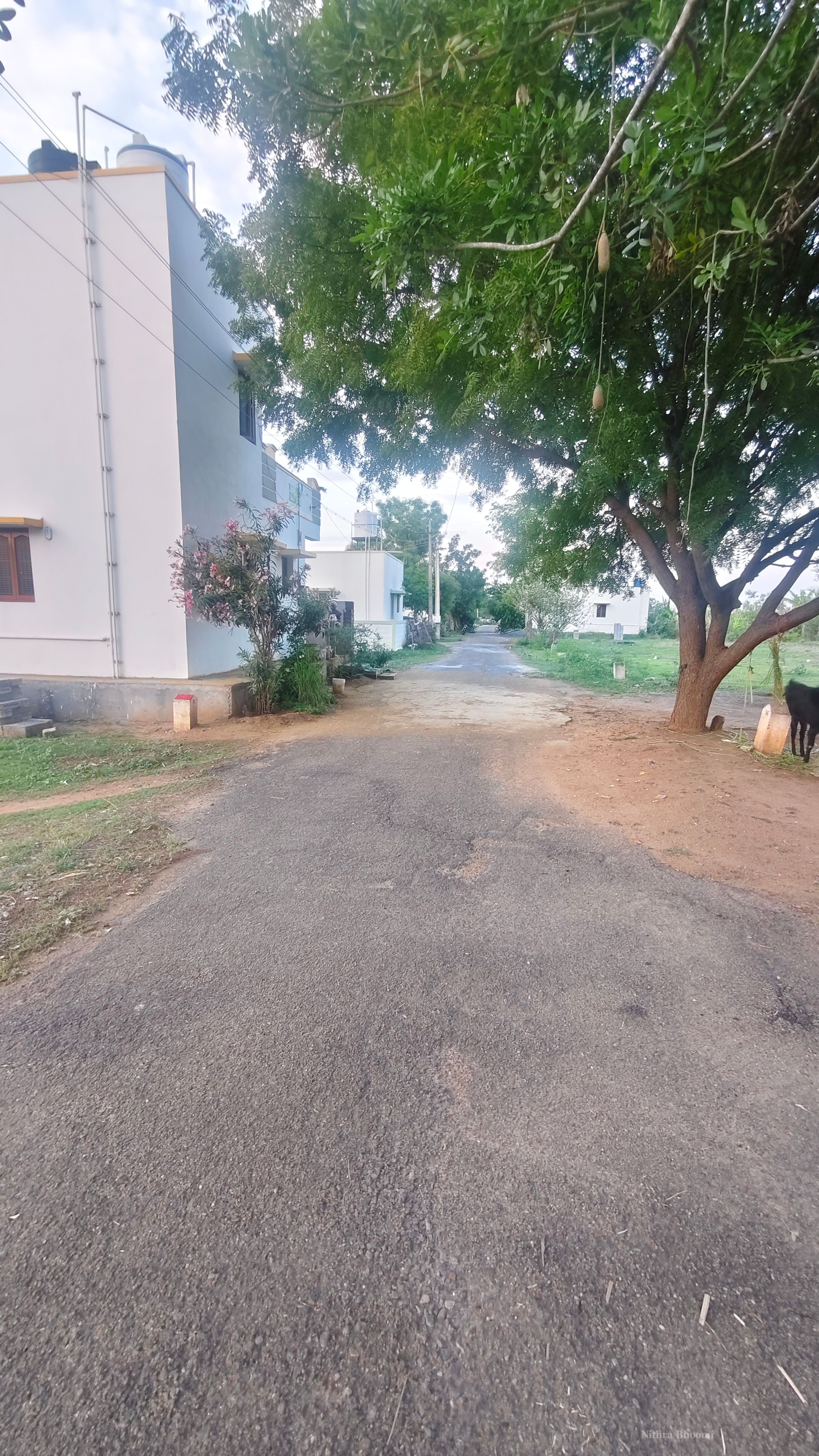Background