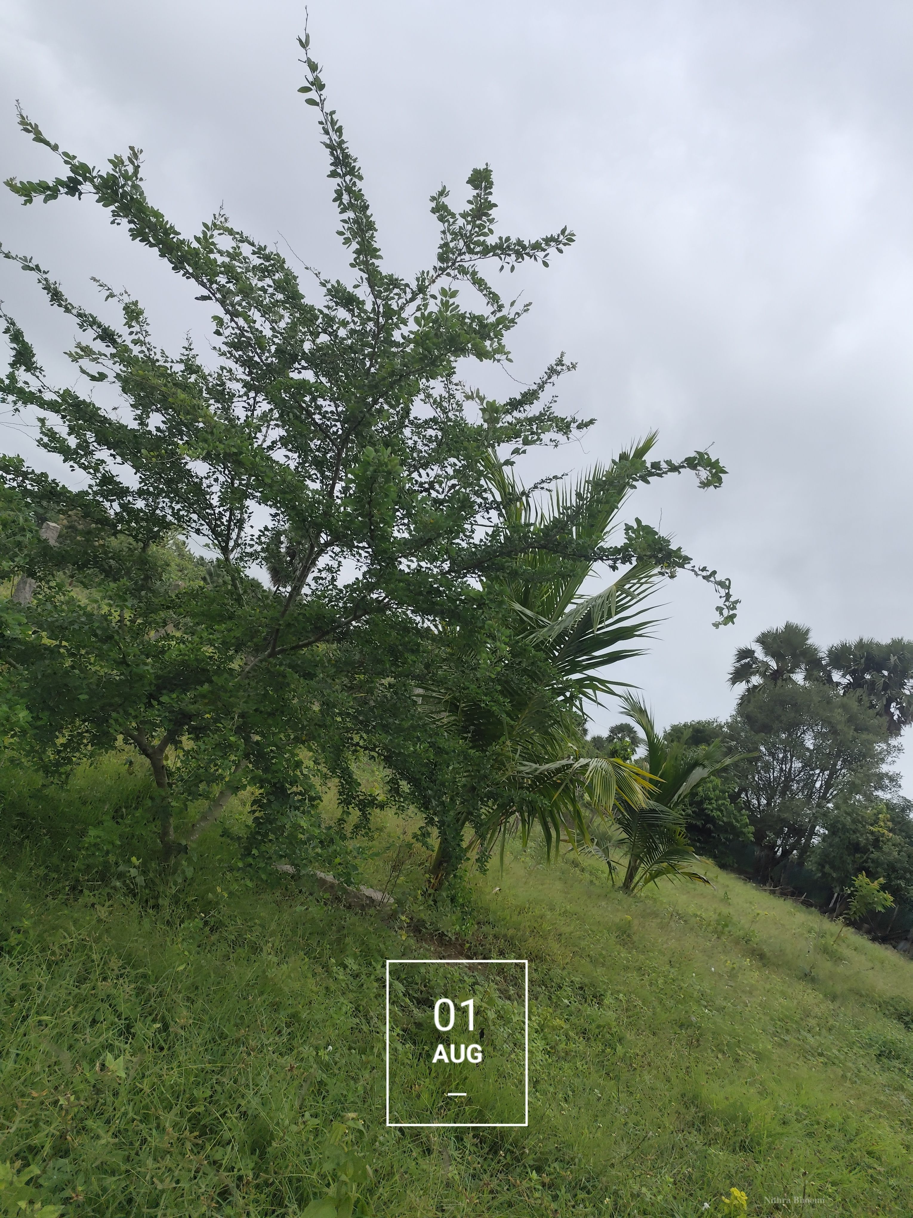 Background