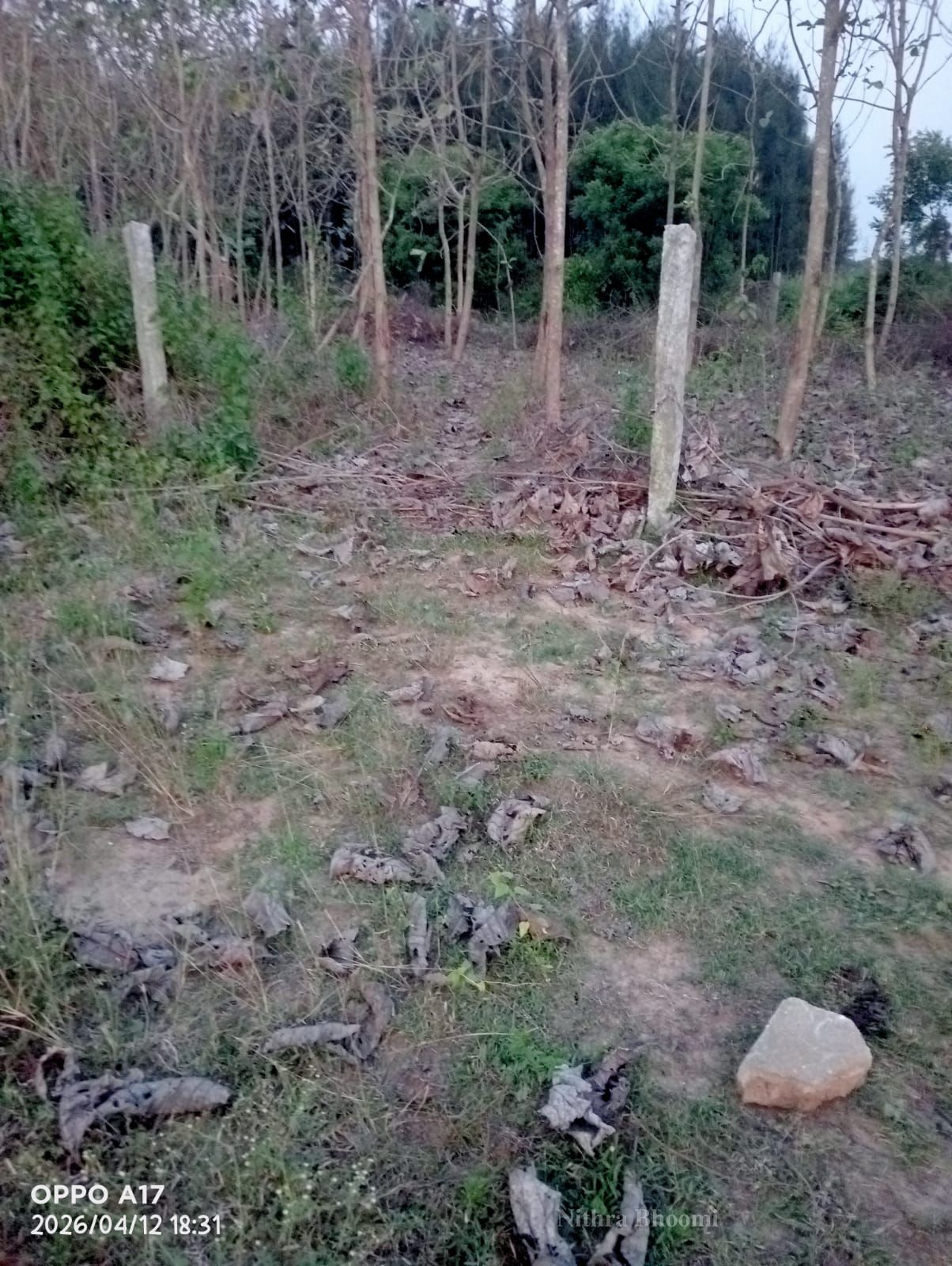 Background