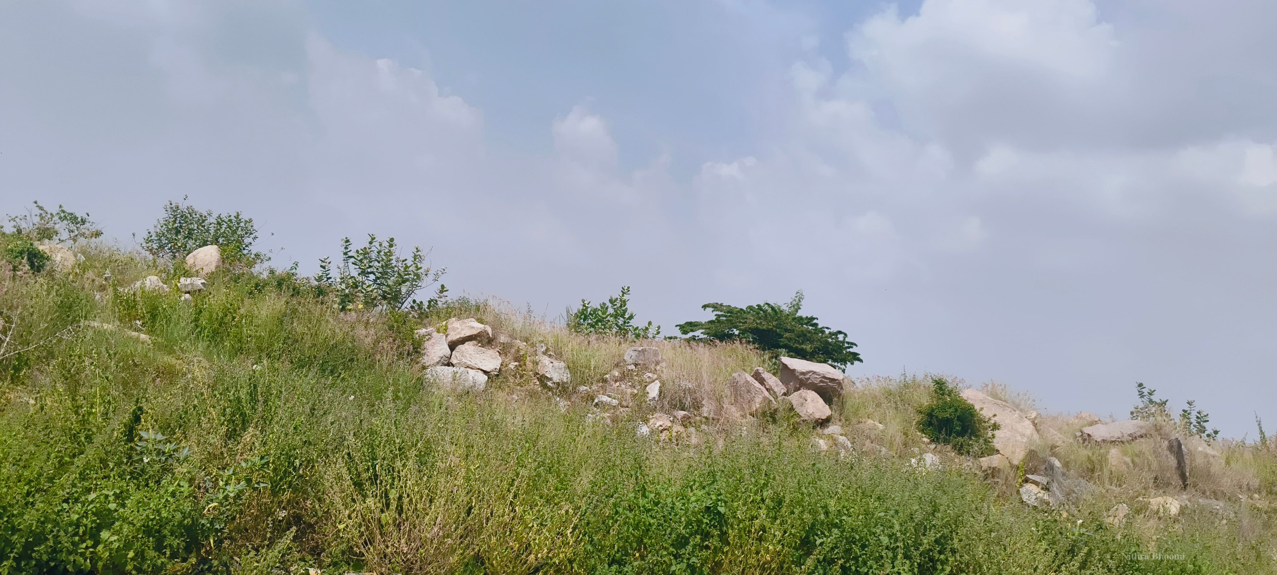 Background