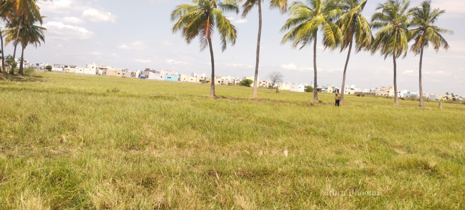 Background