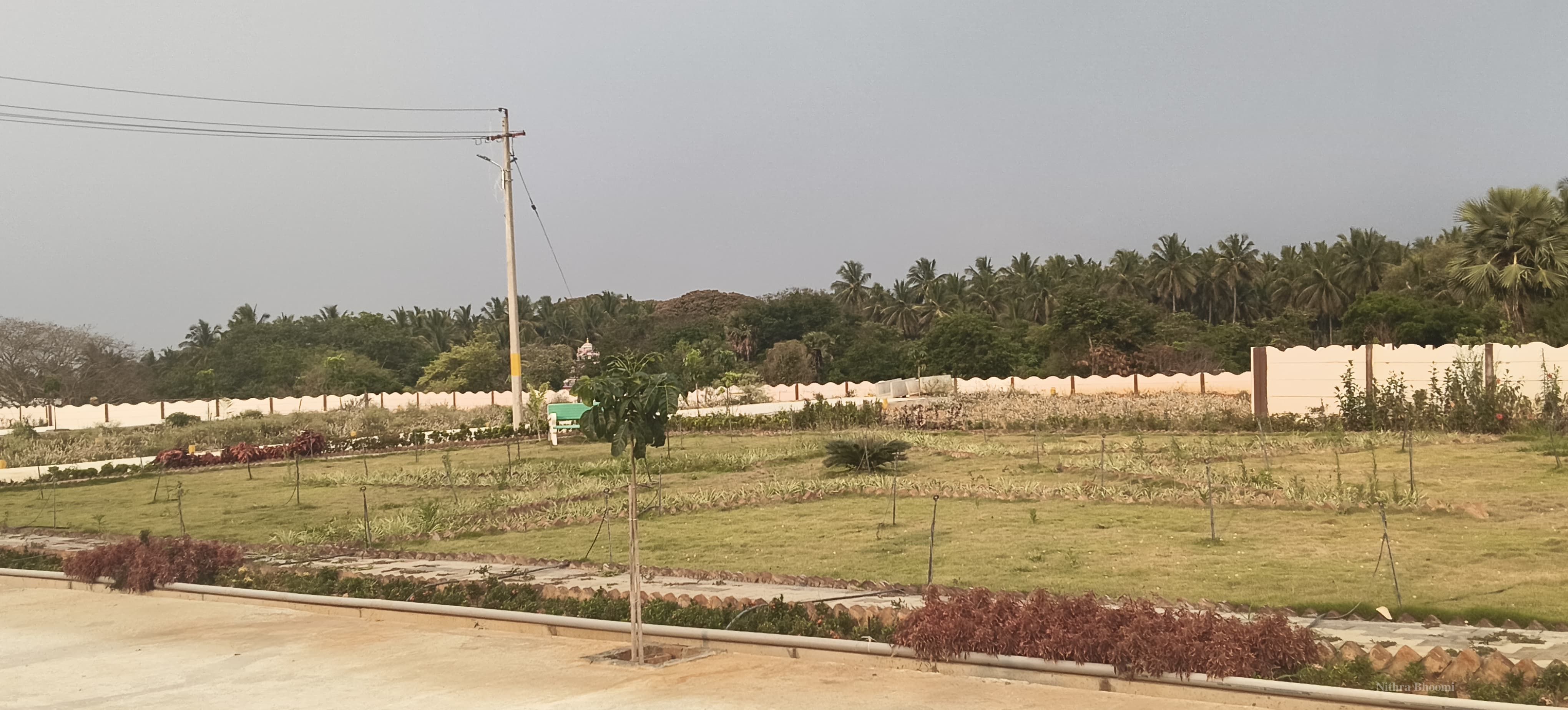 Mathigiri Plot Property in Old Mathigiri, Mathigiri | Nithra Bhoomi