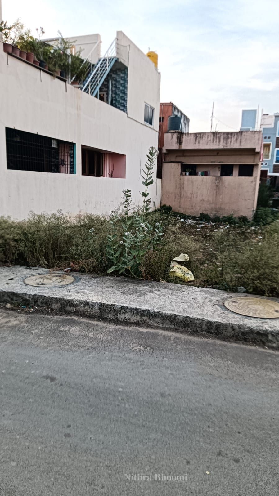Background
