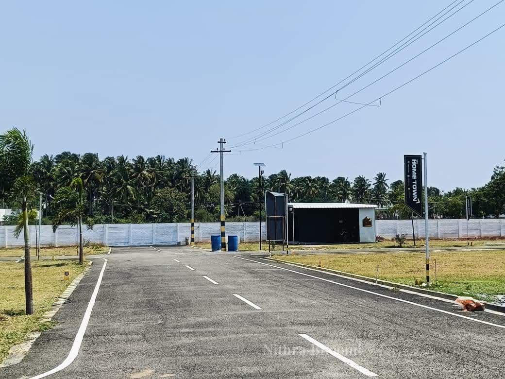Background