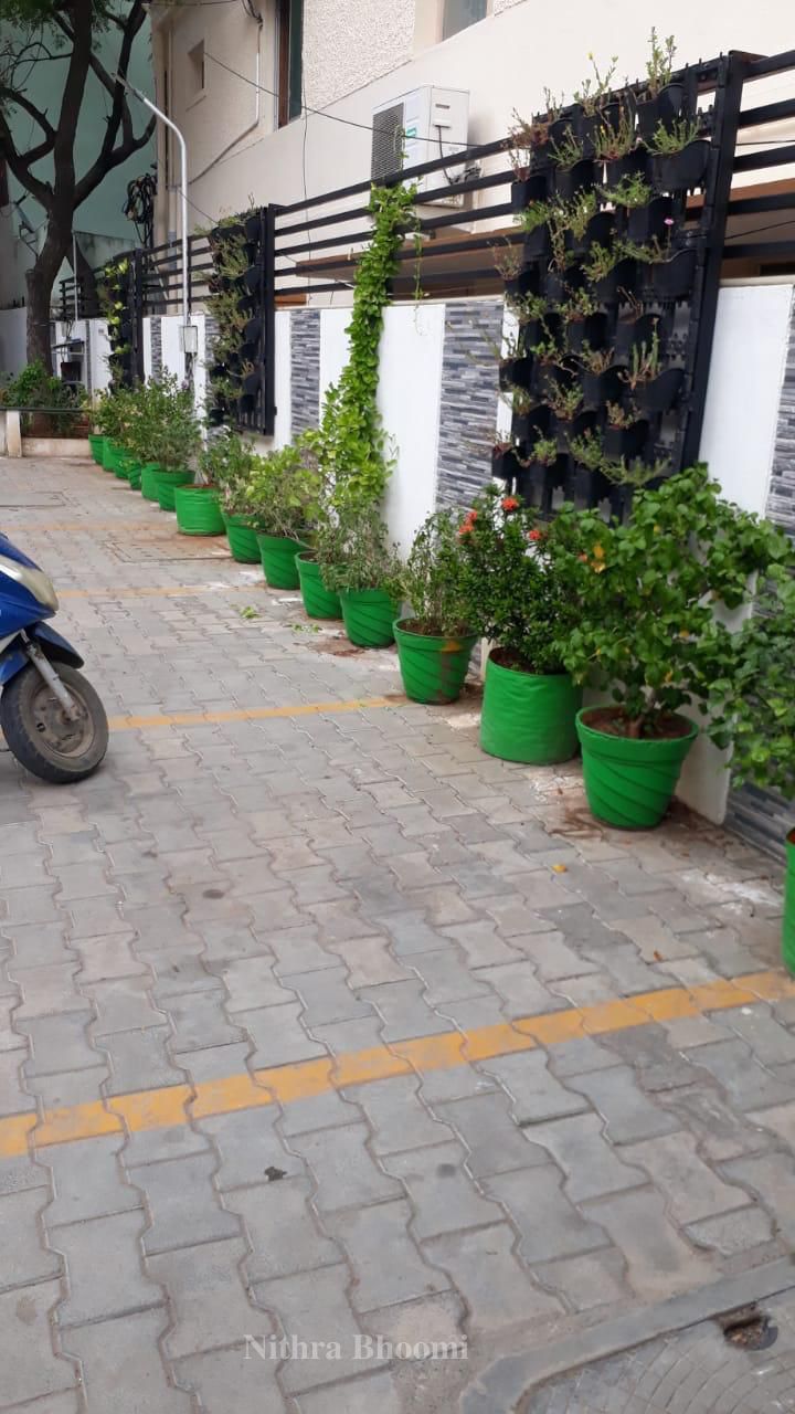 Background