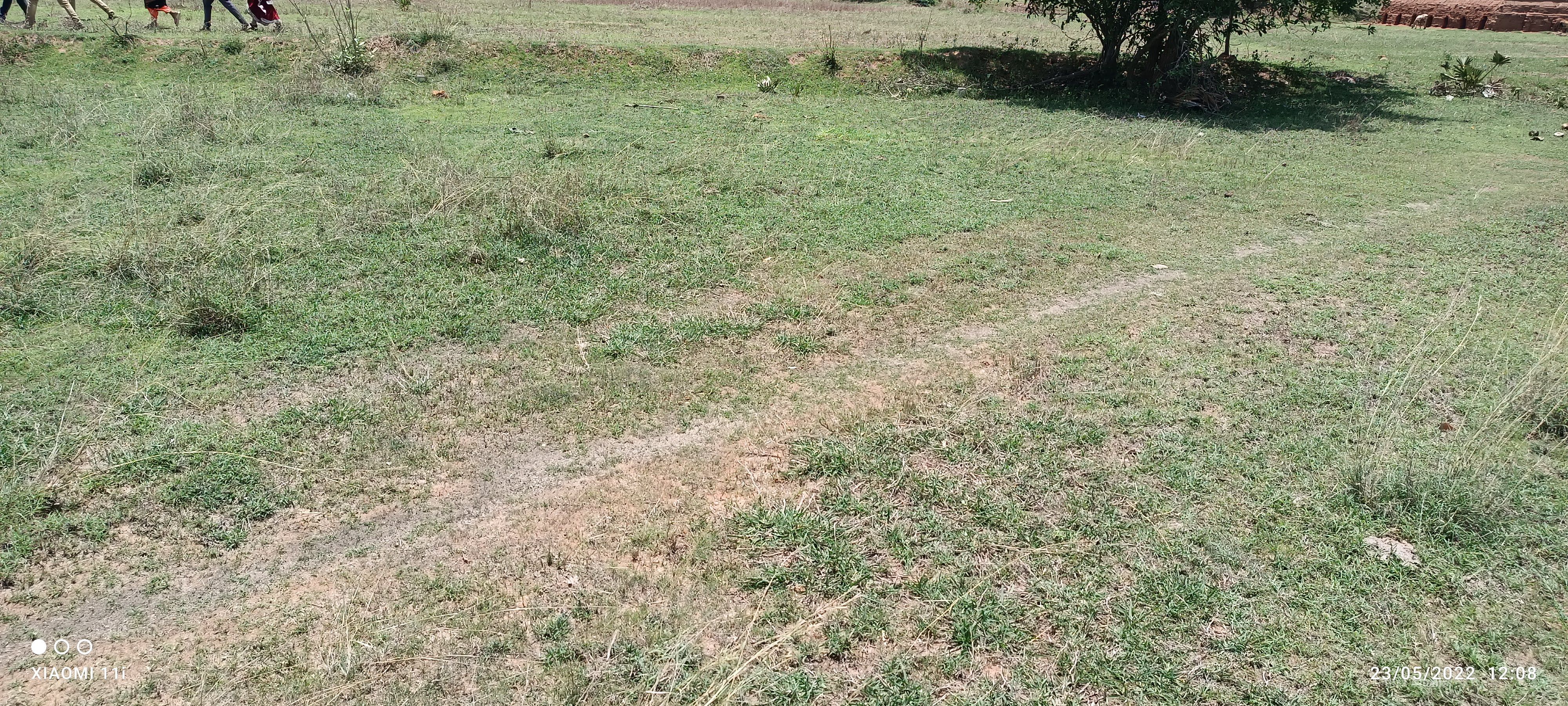 Background
