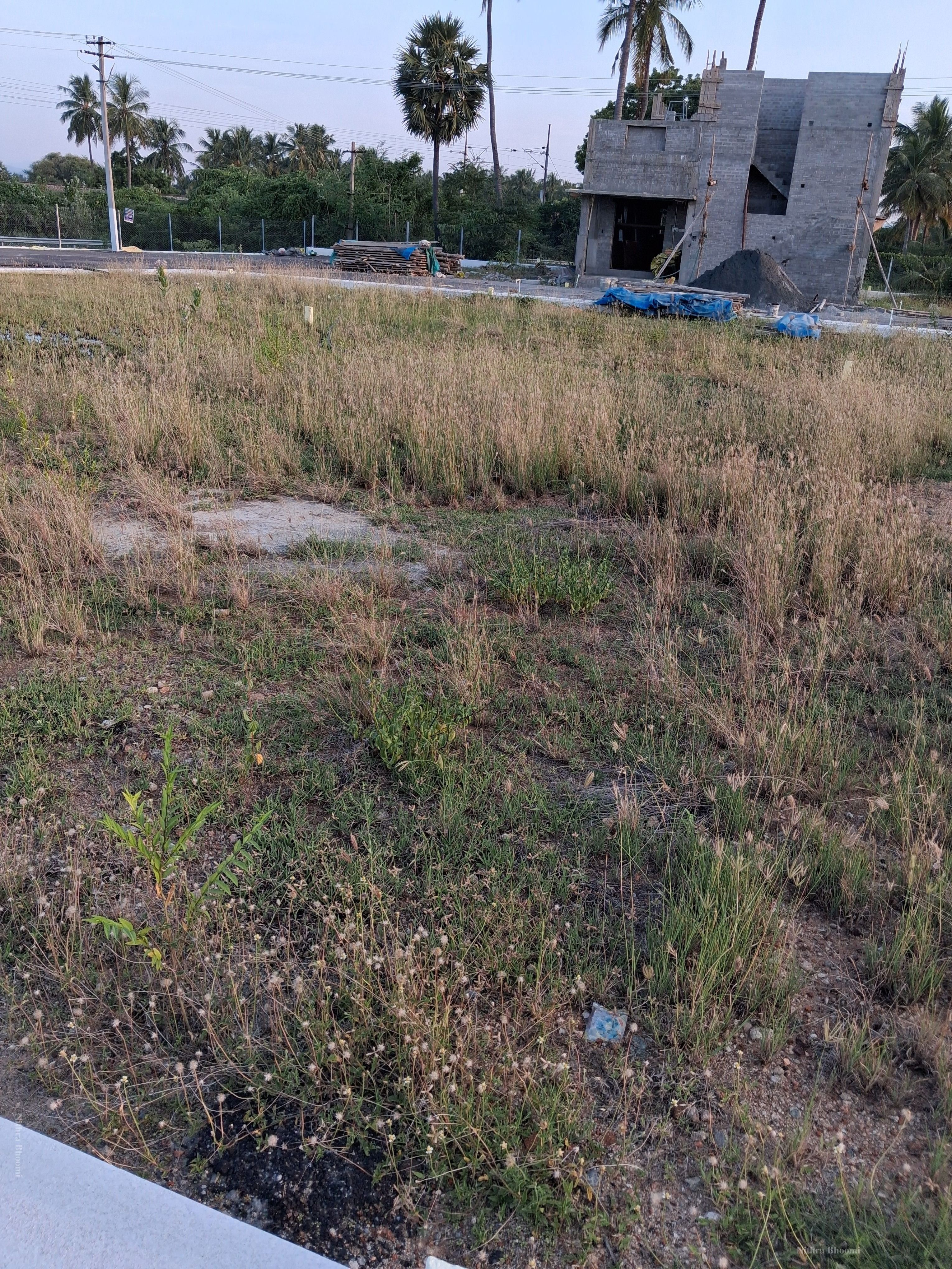 Background