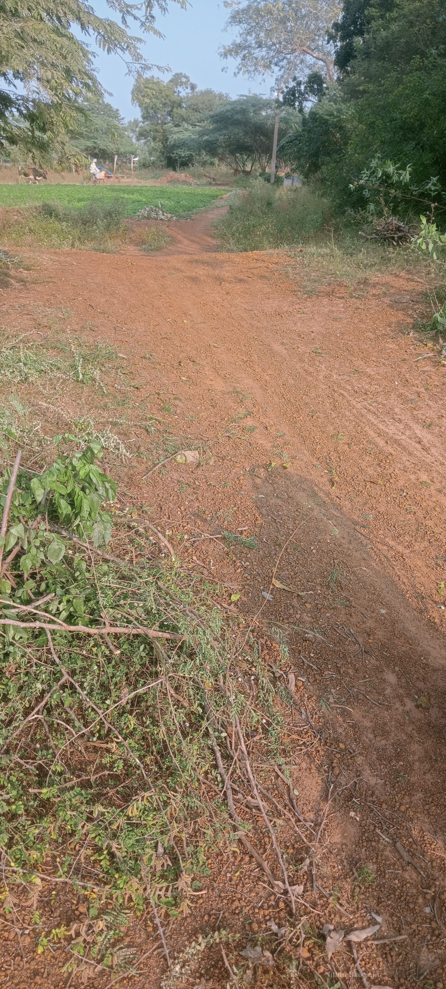 Background