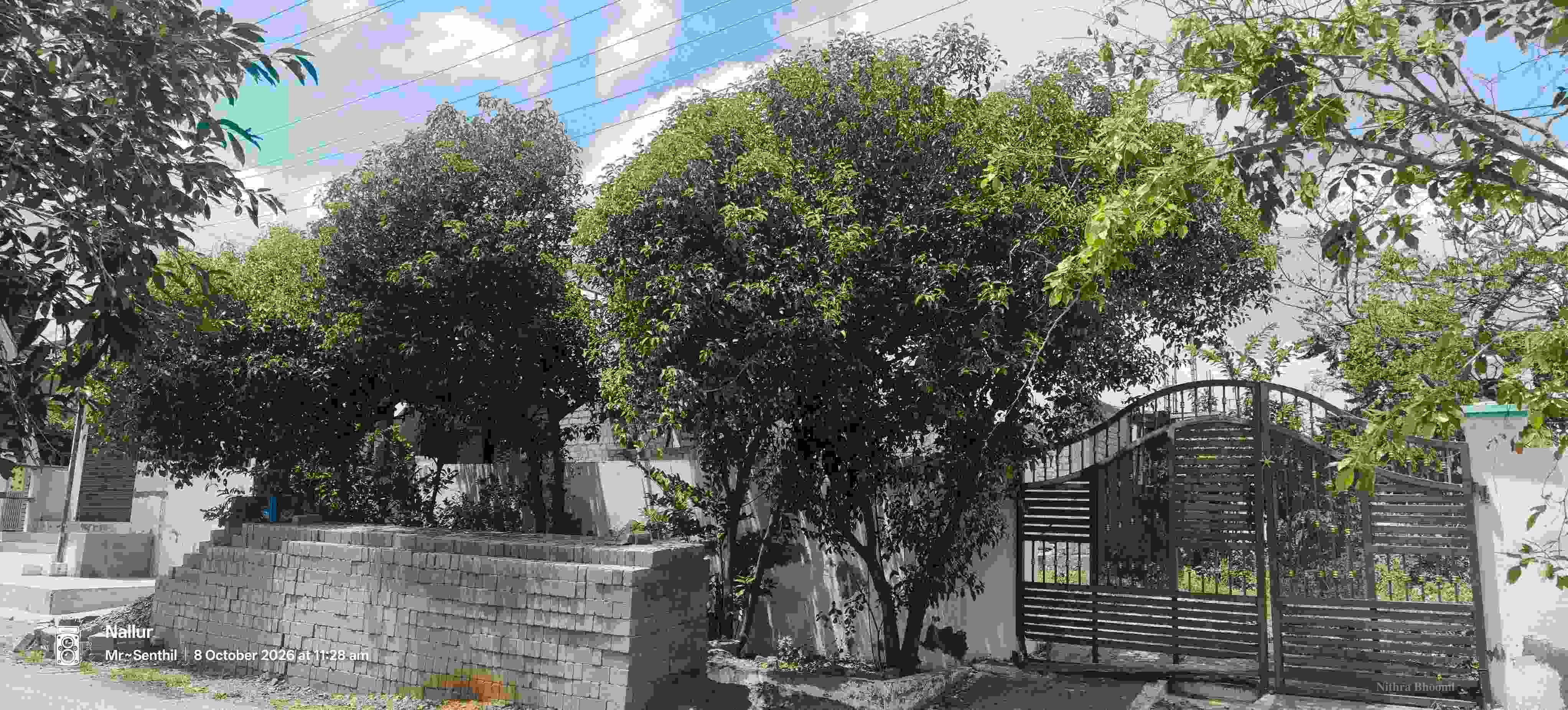 Background