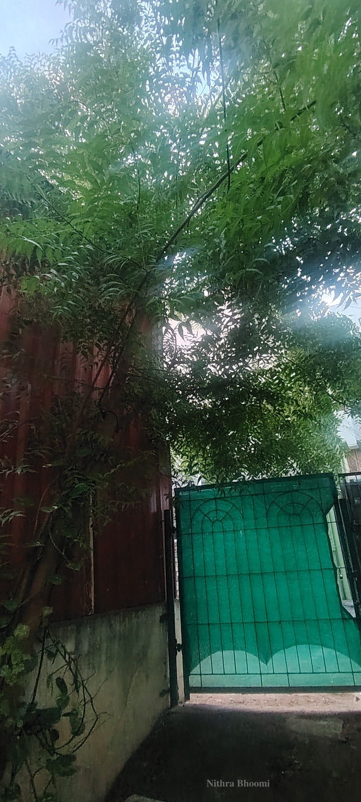Background