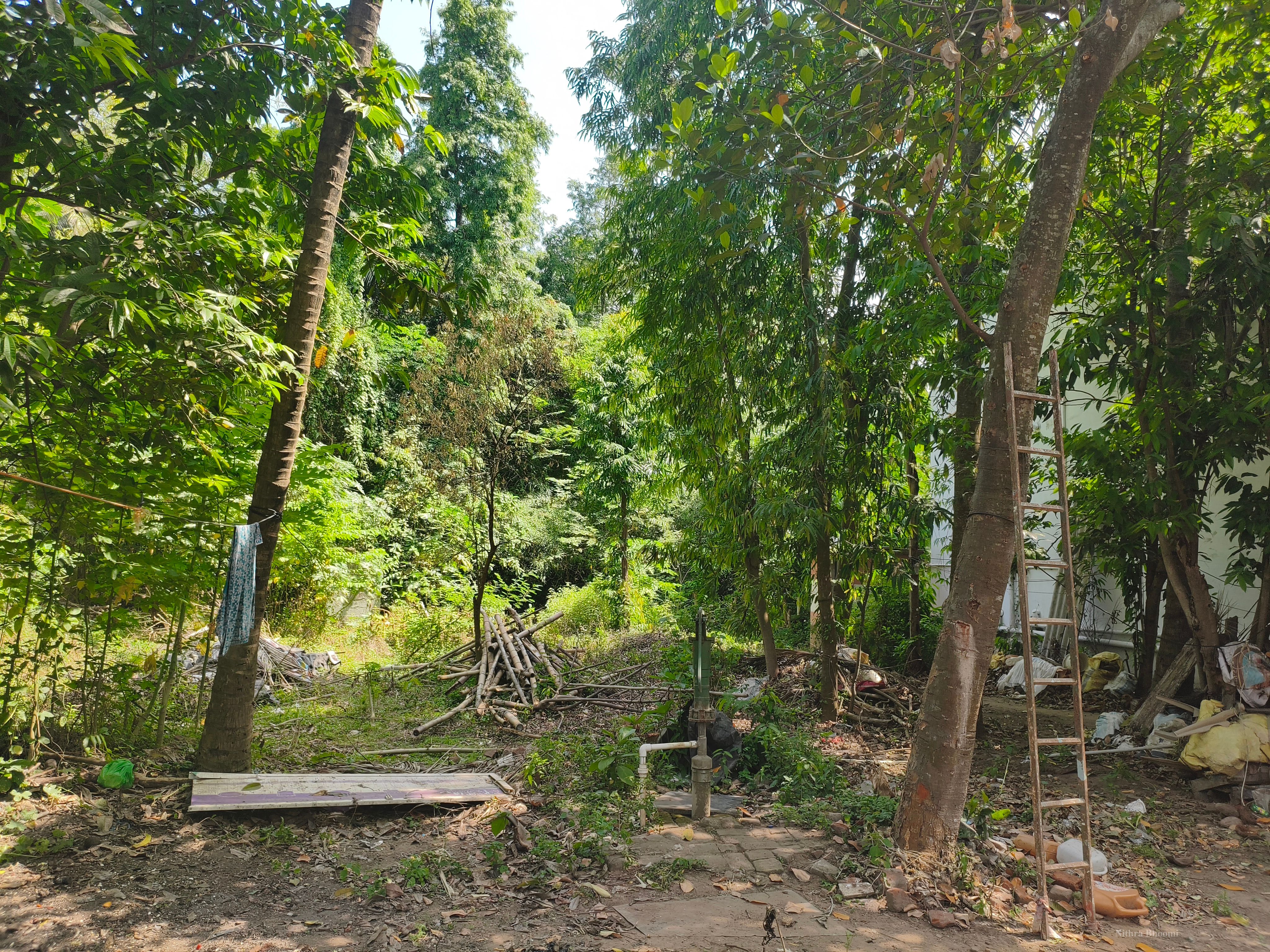 Background